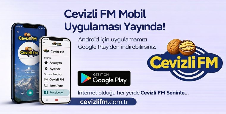 Sosyal medya